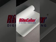Kertas PP Glossy Perekat Diri