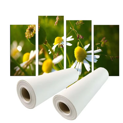 Percetakan Pigmen 280gsm Polyester Canvas Roll