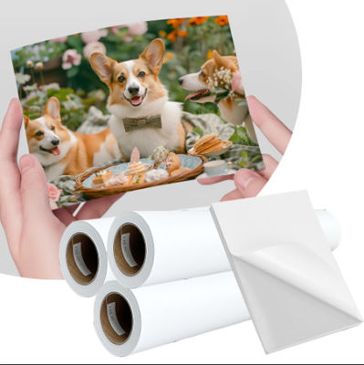 108GSM Pigmen Dye Inkjet Label Matte Self Adhesive Sticker Paper