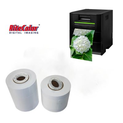 Kertas Foto Gulung Inkjet Luster Resin Coated Drylab Grosir 260gsm