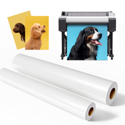 Microporous RC Luster Photo Paper Roll 260gsm untuk Printer Format Besar Epson