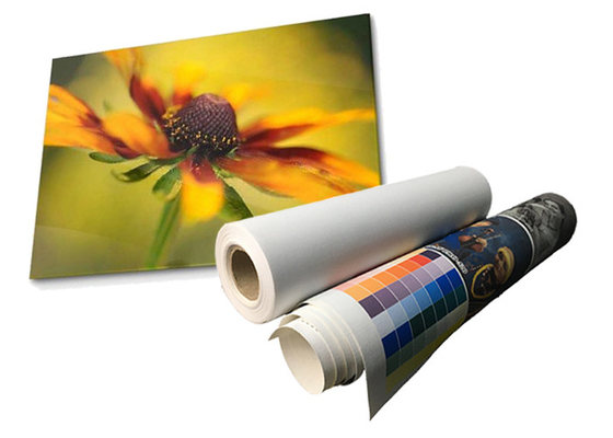 Lateks Matte Waterproof Polyester Canvas Roll Eco Solvent 280gsm